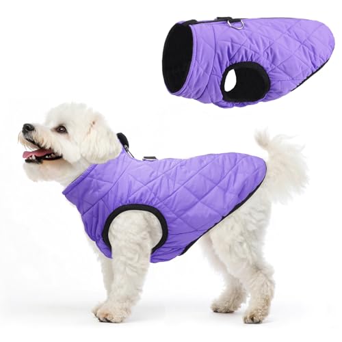 SCENEREAL Warme Hundejacke mit integriertem Geschirr für kleine und mittelgroße Hunde, wasserdichter Hundemantel für kaltes Wetter, mit Reißverschluss, Fleece-Pufferweste, winddichte Schneekleidung von SCENEREAL