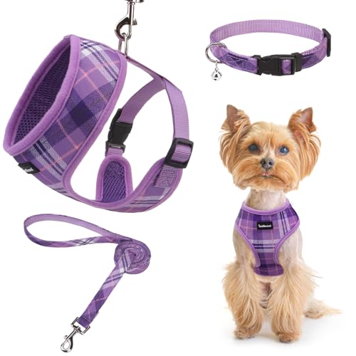 SCENEREAL Welpengeschirr mit Leine, Halsband-Set für kleine und mittelgroße Hunde, Lila, Größe M von SCENEREAL