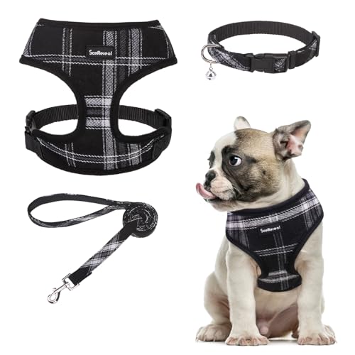 SCENEREAL Welpengeschirr mit Leine, Halsband-Set für kleine und mittelgroße Hunde, Schwarz, Größe M von SCENEREAL