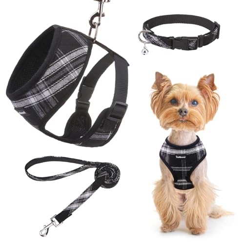 SCENEREAL Welpengeschirr mit Leine, Halsband-Set für kleine und mittelgroße Hunde, Schwarz, Größe M von SCENEREAL