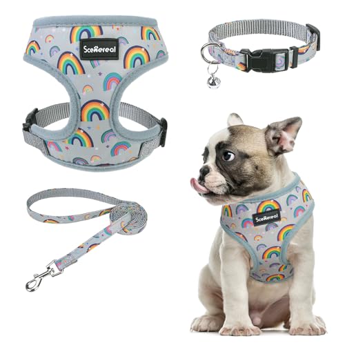 SCENEREAL Welpengeschirr mit Leine, Set für kleine und mittelgroße Hunde, Grau-Regenbogen, Größe M von SCENEREAL