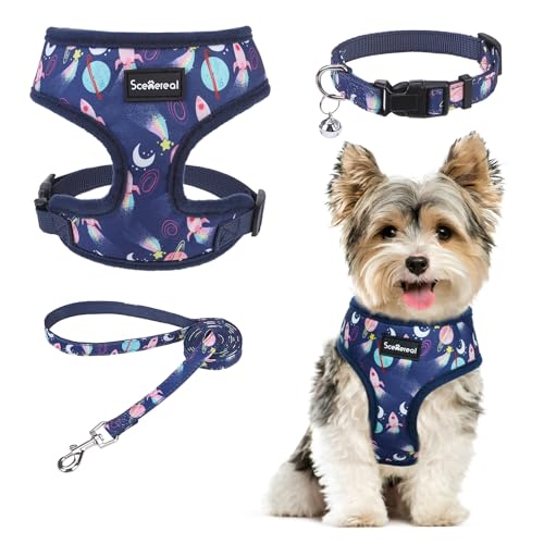 SCENEREAL Welpengeschirr mit Leine, Set für kleine und mittelgroße Hunde, Marineblau, Sternenhimmel, Größe S von SCENEREAL