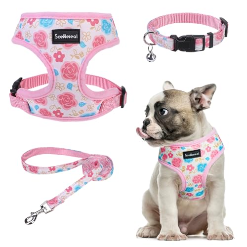 SCENEREAL Welpengeschirr mit Leine, Set für kleine und mittelgroße Hunde, rosa Blumenmuster, Größe M von SCENEREAL