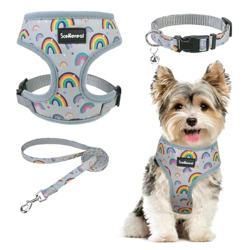 SCENEREAL Welpengeschirr mit Leine für kleine und mittelgroße Hunde, Grau-Regenbogen, Größe XS von SCENEREAL