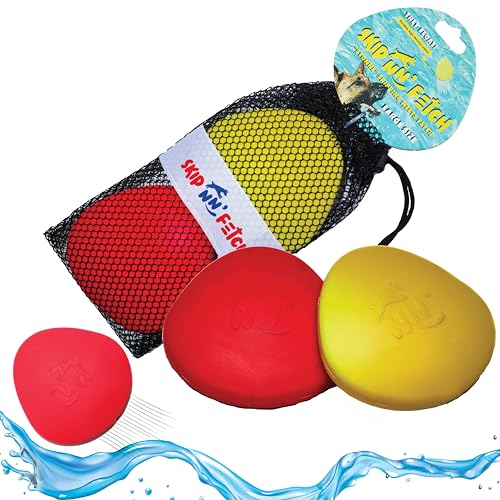 Parent Group – Skip NN' Fetch schwimmendes Hundespielzeug, 2 Stück, mittelgroße und große Hunde, Größe L von SCORE NN'