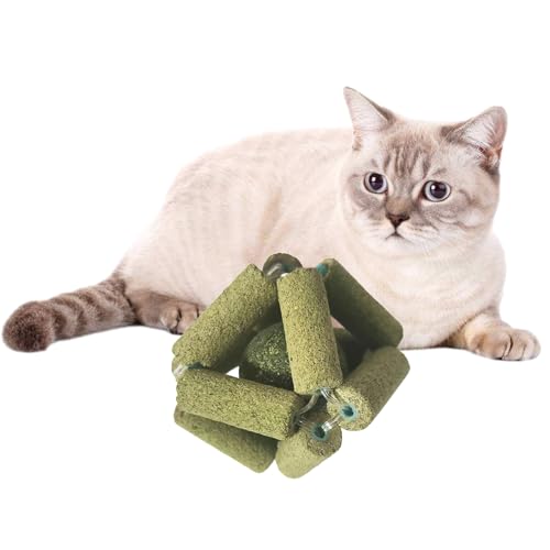 SCUDGOOD Natürliches Katzenminz-Ball-Spielzeug zum Lecken von Minze für Haustier-Kauspielzeug, Beißball für Unterhaltung, Minze von SCUDGOOD