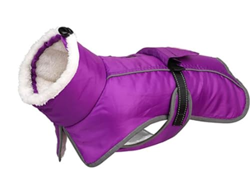 Wasserdichter Hundemantel, kaltes Wetter, warmer Mantel für Hunde, drinnen und draußen, Camping, Wandern (Violett, 3 x L) von SDFFEA