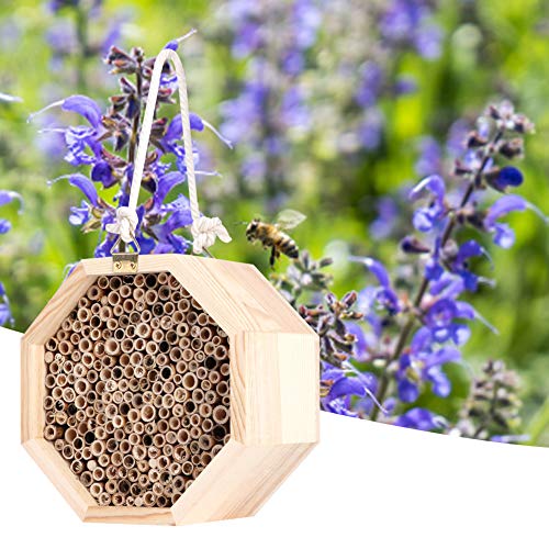 Hölzernes Insekten- und Bienenhaus aus Holz, Bienenhaus, Insektenhaus, Insektenzimmer, Hotel-Nistkasten für die Gartendekoration Im Freien von SEAFRONT