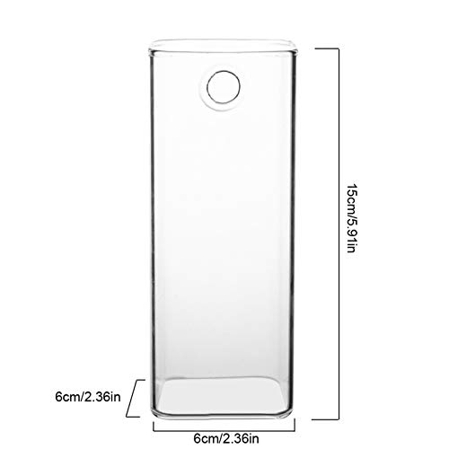 Glasvase, Wandbehang, Pflanzgefäß, Hydrokultur-Blumentopf, Behälter für Zimmerpflanzen, Blumen, Terrarien, Heim- und Gartendekoration (Lange Röhrenform) von SEAFRONT