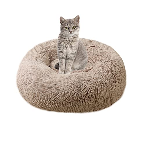 Dickes Katzenbett Donut Kitty Bett Rundes Haustierbett Plüsch Kuscheltier Zwinger Welpe Sofa Katzennest Flauschig Mittlere Kleine Hunde für Indoor Katzen Verbesserung des Schlafes von SEDOXX