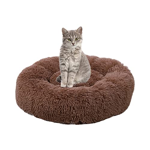 Dickes Katzenbett Donut Kitty Bett Rundes Haustierbett Plüsch Kuscheltier Zwinger Welpe Sofa Katzennest Flauschig Mittlere Kleine Hunde für Indoor Katzen Verbesserung des Schlafes von SEDOXX