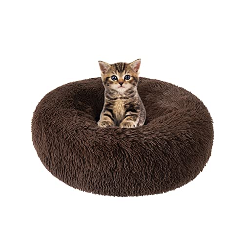 Donut Haustierbett Plüsch-Katzenbett für Indoor-Katzen für kleine, mittelgroße Haustiere, weiches, beruhigendes Schlafbett, flauschiges Hundebett waschbar selbstwärmend Kätzchen von SEDOXX