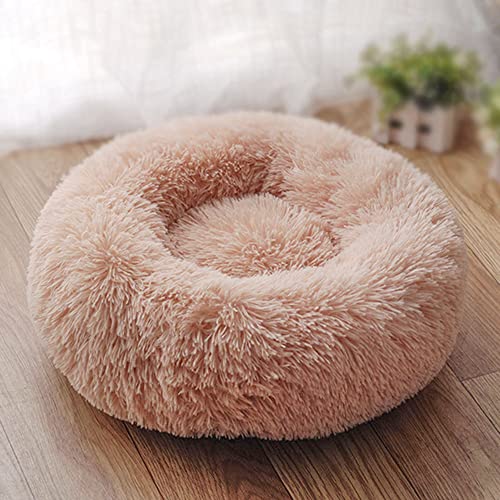 Donut Katzenbett Weiches Haustierbett für Indoor Katzen Plüsch Katzennest Bett Rundes Hundebett Warm Schlafen Welpe Sofa Klein Mittel Verbesserter Schlaf Flauschiges Kissen von SEDOXX