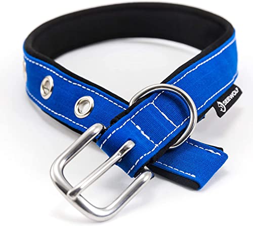 SEEWOLF© - Handgefertigtes Hundehalsband aus schützendem Neopren und hochwertigen Persenningstoffen, mit rostfreier Edelstahlschnalle. (Blauer Marlin (Blau/Schwarz), 36,5 cm - 42,5 cm (51 cm lang)) von SEEWOLF