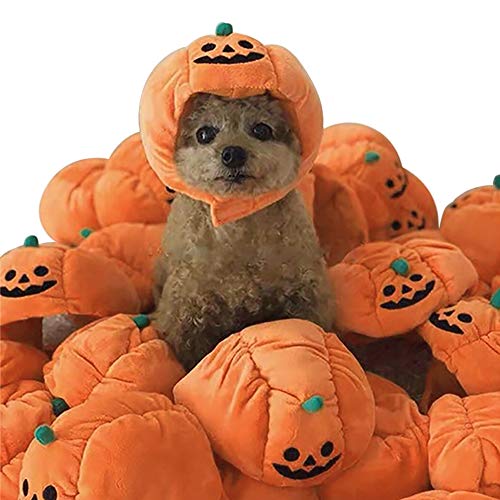 SEIS Halloween-Kürbis-Haustier-Mütze, lustiger Teddy-Kopf-Zubehör, Katzen-Ohrenkappen, Haken und Schlaufe, verstellbares Kostüm für Katzen, kleine mittelgroße Hunde (Kürbis) von SEIS