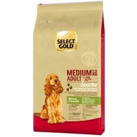 SELECT GOLD Sensitive Adult Medium Ente & Kartoffel 12 kg von SELECT GOLD