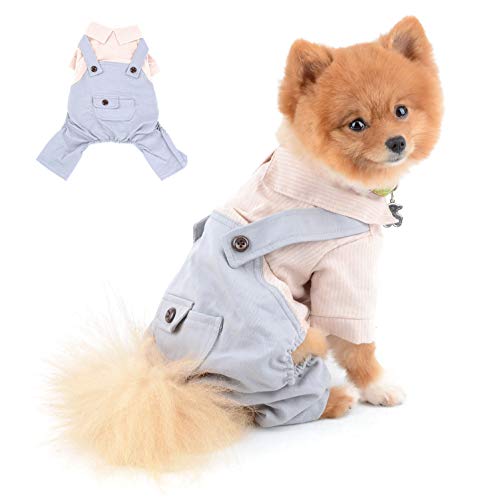 SELMAI Hundekleidung Kleine Hunde Sommer Gestreiftes Shirt für Katzen Bluse mit Hose 4 Beine Overalls Nette Welpen Chihuahua Kleidung für Haustiere Tägliche Kostüme Frühling Herbst Rosa L von SELMAI