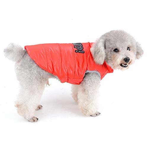 SELMAI Hundemantel für Kleine Hunde Chihuahua Winterjacke mit D-Ring Mäntel für Welpen Weste Hundsport Kleider für Katzen Kaninchen Weste mit Snaps Alpine Ski Parka Sport im Freien Rot M von SELMAI