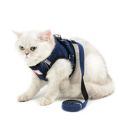 SELMAI Mesh Geschirr für Katzen Kleine Hunde Kein Ziehen Escape Proof Gepolsterte Weste für Welpenleine Leine für Kätzchen Gehen Draussen Verstellbares Ausbildung Cord Weiches Material,blau,XS von SELMAI