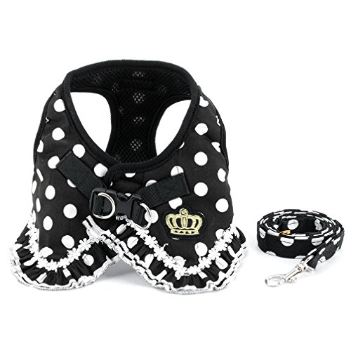 SELMAI Pegasus Puppy klein Katze Mädchen Hund Vest Dots Harness Leine-Set Mesh Gepolsterte kein Ziehen Blei Schwarz XL von SELMAI