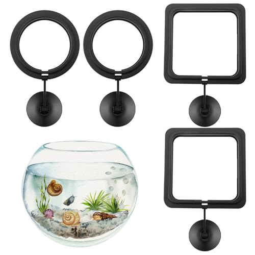 Runder Fischfutterring,Quadratischer Fischfutterring,4 Stück Aquarium Futter Krei,Flottant Fischfutterring,Fisch Fütterung Ring,Automatischer Futterring,Aquarium schwimmende Ringe,Aquarium Futterring von SEMINISMAR