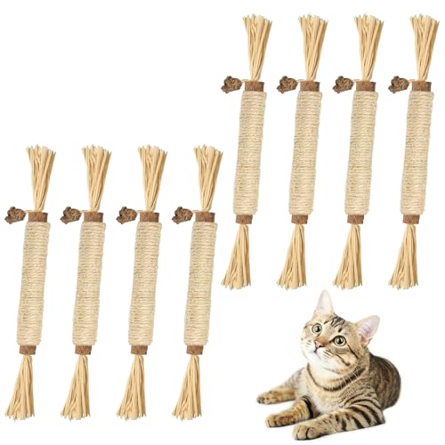 SEMINISMAR Katzenminz-Stäbchen, 8 Stück Katzenminze, Kausticks für Katzen, Spielzeug für Katzen, Spielzeug zur Zahnpflege für Katzen von SEMINISMAR