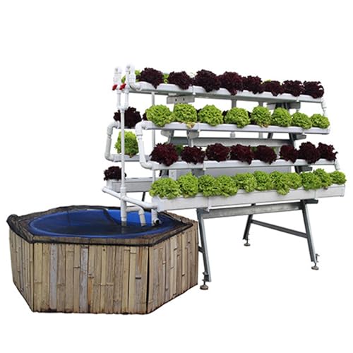 Hydrokultur-Garten-Aquarium-Pflanzenzuchtsystem, selbstreinigend, Aquaponik-System, Wassergarten-Set mit Wasserpumpe, Timer-Funktion von SENXINWEI