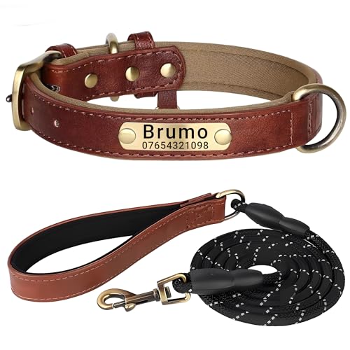 SEOUGEE Hundehalsband aus echtem Leder, personalisierbar und mit Leine, weich gepolstert, strapazierfähig, mit individuellem Namensschild für kleine, mittelgroße und große Hunde (XL, braunes Set, von SEOUGEE