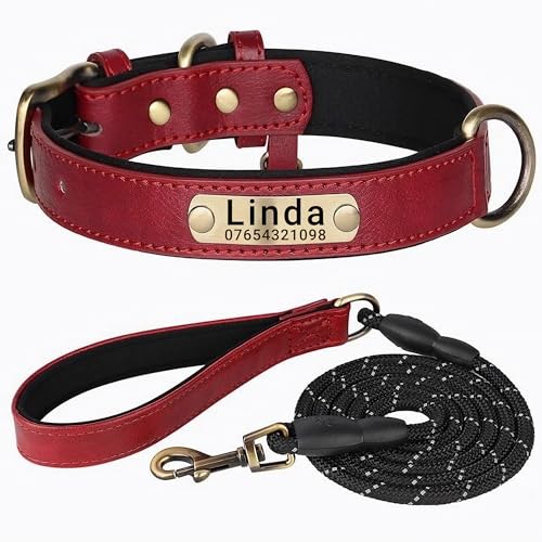 SEOUGEE Hundehalsband aus echtem Leder, personalisierbar und mit Leine, weich gepolstert, strapazierfähig, mit personalisierbarem Namensschild für kleine, mittelgroße und große Hunde (L, Rot, Set von SEOUGEE