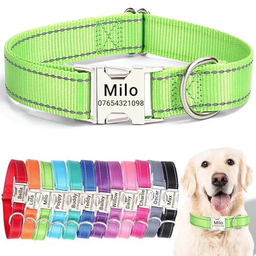 SEOUGEE Hundehalsband mit gravierter Metallschnalle, reflektierendes Nylon-Halsband für kleine, mittelgroße und große Hunde mit individuellem Namensschild, Telefonnummer (Grün, L: Halsumfang 40–60 cm, von SEOUGEE