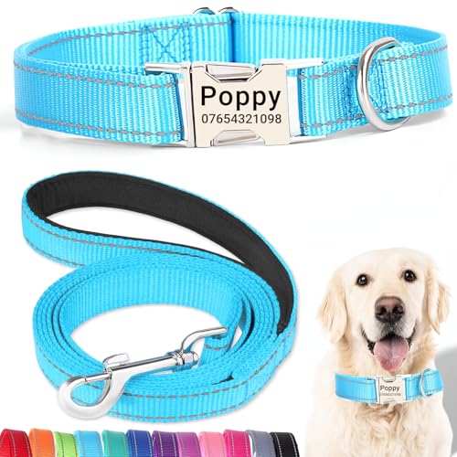 SEOUGEE Hundehalsband und Leine, Set mit gravierter Metallschnalle, reflektierenden Nylon-Hundehalsbändern und Leine für kleine Hunde mit individuellem Namensschild, Telefonnummer (Himmelblau, XS: von SEOUGEE