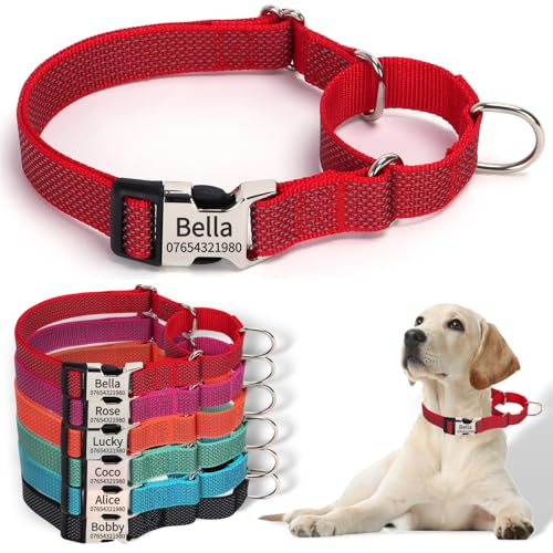 SEOUGEE Martingale Hundehalsband, personalisierbar, reflektierendes Nylon, ausbruchsicher, Anti-Zieh-Hundehalsbänder mit individuell gravierter Metallschnalle, Spaziergangstraining, täglicher Gebrauch von SEOUGEE