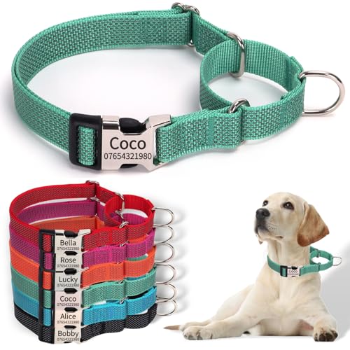 SEOUGEE Martingale Hundehalsband, personalisierbar, reflektierendes Nylon, ausbruchsicher, Anti-Zieh-Hundehalsbänder mit individuell gravierter Metallschnalle, Spaziergangstraining, täglicher Gebrauch von SEOUGEE