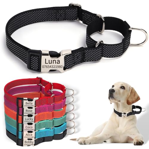 SEOUGEE Martingale Hundehalsband, personalisierbar, reflektierendes Nylon, ausbruchsicher, Anti-Zieh-Hundehalsbänder mit individuell gravierter Metallschnalle, Spaziergangstraining, täglicher Gebrauch von SEOUGEE