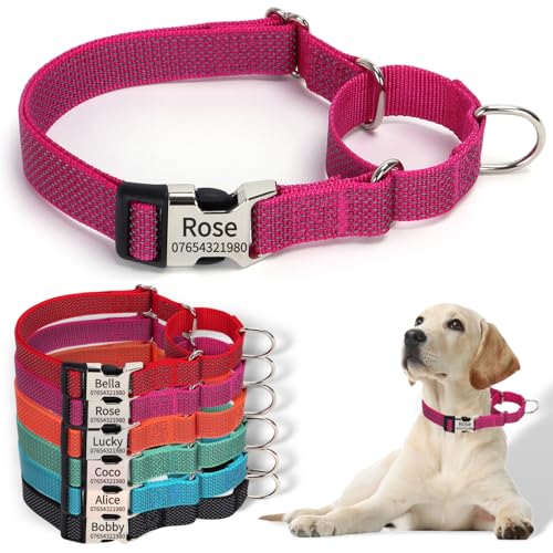 SEOUGEE Martingale Hundehalsband, personalisierbar, reflektierendes Nylon, ausbruchsicher, Anti-Zieh-Hundehalsbänder mit individuell gravierter Metallschnalle, Spaziergangstraining, täglicher Gebrauch von SEOUGEE