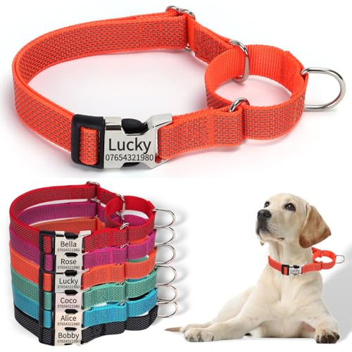 SEOUGEE Martingale Hundehalsband, personalisierbar, reflektierendes Nylon, ausbruchsicher, Anti-Ziehen, mit individuell gravierter Metallschnalle, Spaziergangstraining, täglicher Gebrauch für kleine von SEOUGEE