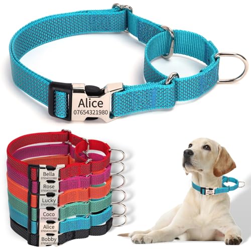 SEOUGEE Martingale Hundehalsband, personalisierbar, reflektierendes Nylon, ausbruchsicher, Anti-Ziehen, mit individuell gravierter Metallschnalle, Spaziergangstraining, täglicher Gebrauch für kleine von SEOUGEE