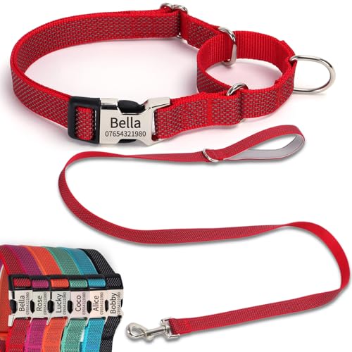 SEOUGEE Martingale Hundehalsband, personalisierbar und Leine, reflektierendes Nylon, Anti-Würge-Hundehalsbänder und Leine mit individuell gravierter Schnalle, Spaziergangstraining für kleine Hunde (M, von SEOUGEE