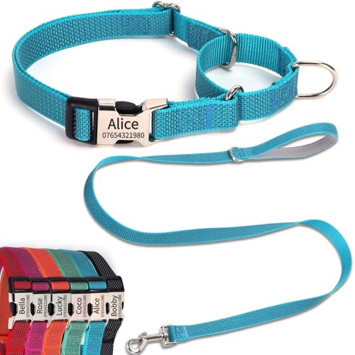 SEOUGEE Martingale Hundehalsband, personalisierbar und Leine, reflektierendes Nylon, Anti-Würge-Hundehalsbänder und Leine mit individuell gravierter Schnalle, Spaziergangstraining für kleine Hunde von SEOUGEE