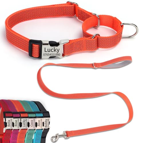 SEOUGEE Martingale Hundehalsband, personalisierbar und Leine, reflektierendes Nylon, Anti-Würge-Hundehalsbänder und Leine mit individuell gravierter Schnalle, Spaziergangstraining für kleine Hunde (S, von SEOUGEE