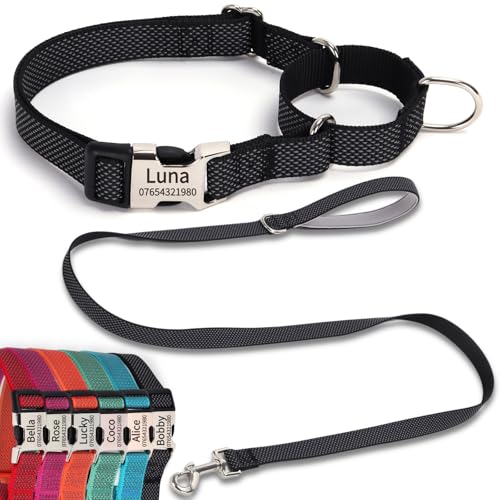 SEOUGEE Martingale Hundehalsband, personalisierbar und Leine, reflektierendes Nylon, Anti-Würge-Hundehalsbänder und Leine mit individuell gravierter Schnalle, Spaziergangstraining für kleine Hunde (L von SEOUGEE