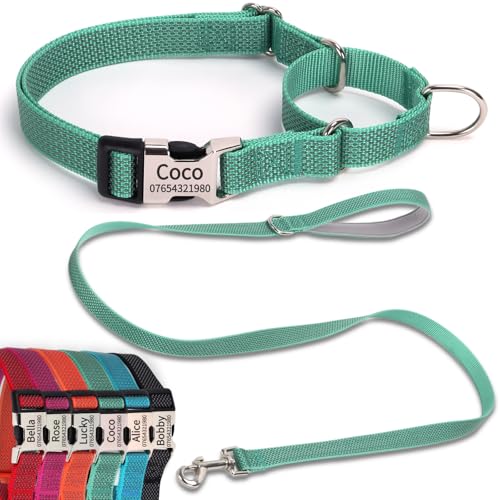 SEOUGEE Martingale Hundehalsband, personalisierbar und Leine, reflektierendes Nylon, Anti-Würge-Hundehalsbänder und Leine mit individuell gravierter Schnalle, Spaziergangstraining für große Hunde (L von SEOUGEE