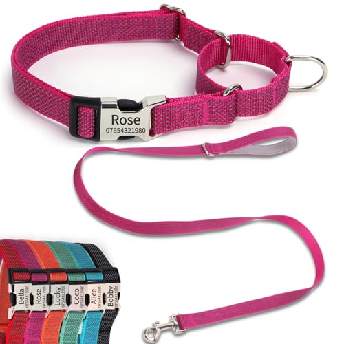 SEOUGEE Martingale Hundehalsband, personalisierbar und Leine, reflektierendes Nylon, Anti-Würge-Hundehalsbänder und Leine mit individuell gravierter Schnalle, Spaziergangstraining für mittelgroße von SEOUGEE