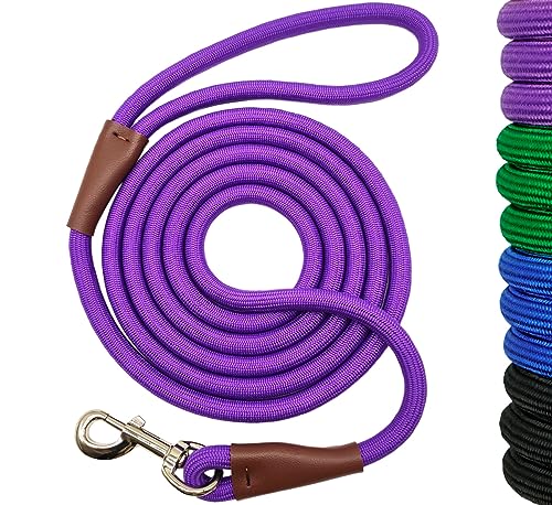 SEPXUFORE Hundeleine aus starkem Nylon, 1,8 m, mit Lederverbindung, ideal für mittelgroße und große Hunde (1,27 cm x 1,8 m, Violett) von SEPXUFORE