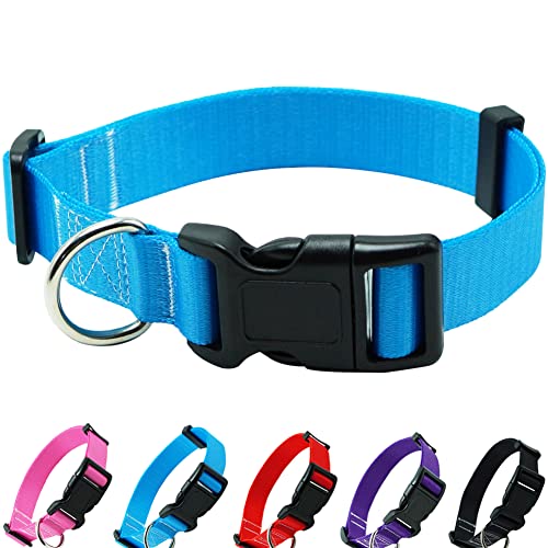 SEPXUFORE Nylon-Hundehalsband, klassisch, verstellbar, 5 Größen, für Welpen, kleine, mittelgroße und große Hunde, Blau von SEPXUFORE