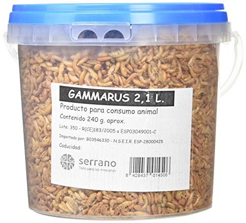 SERRANO Hummer 2.1L. 240 gr aproximad. von SERRANO