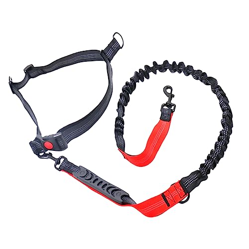 SEWOART 1 PC Robuste Hundeleine Für Große Und Mittelgroße Hunde Reflektierende Bungee Leine Mit Rotem Griff Elastisches Zugseil Für Sicheres Hundetraining Und Rückruf Ideal Für von SEWOART