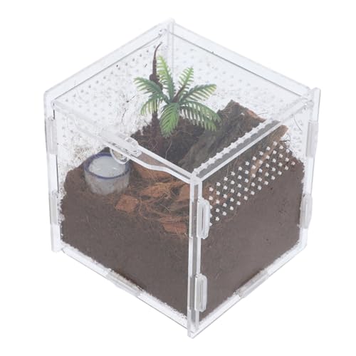 SEWOART Spinnenbox Aus Acryl – Futter- Und Zuchtbehälter Für Springspinnen Mit Schloss Insektenbehälter Für Reptilien SEWOART Spinnenbox Aus Acryl – Futter- Und Zuchtbehälter Für Springspinnen Mit Schloss Insektenbehälter Für Reptilien von SEWOART