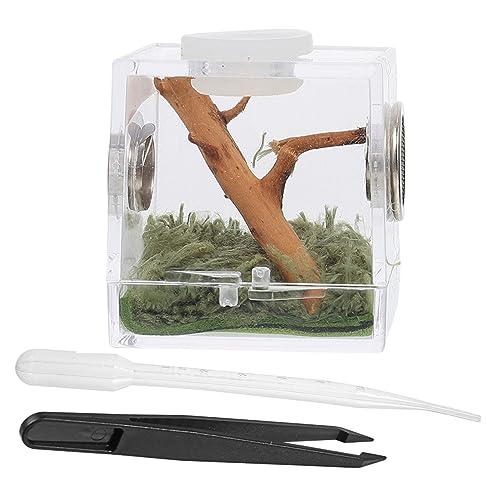 SEWOART 2 Sätze Springspinnen-Zuchtbox Spinnen Terrarien Gecko-Zubehör Terrarienkäfig für Reptilien Stabheuschrecke insektenhäuser Mini Terrarium Insekten Lebensraum Insektenhaus Acryl von SEWOART