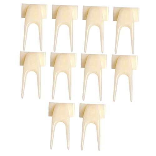 SEWOART 20st Vogel Frucht Vogelfütterung Fruchtgabel Für Vögel Vogel-Frucht-Clips Papageien-Feeder-Clips Haustier-papagei-fruchtgabel Obst Feeder Für Beige Plastik von SEWOART